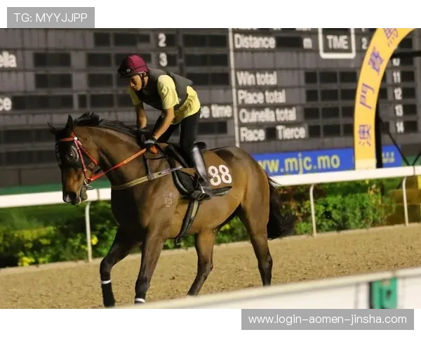 掌握澳门赛马时间表2024，帮助你合理规划观看和投注时间